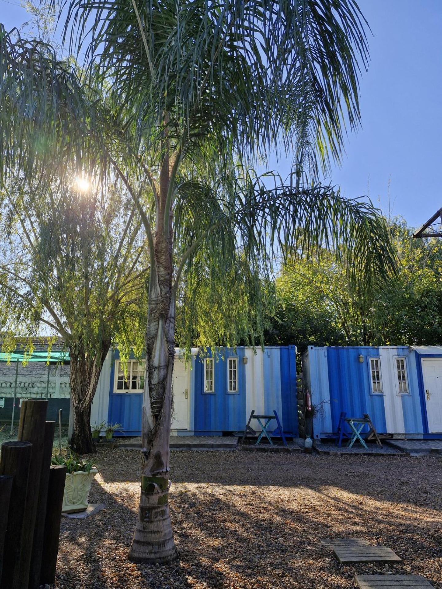 Squania Suite Container & Monoambientes Termas del Dayman Exterior photo